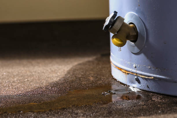 Best Flood damage cleanup  in Holdrege, NE