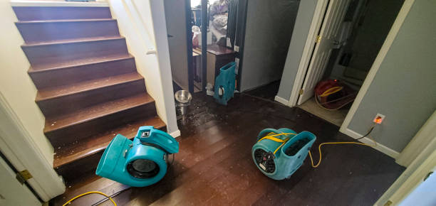 Best Water damage restoration near me  in Holdrege, NE