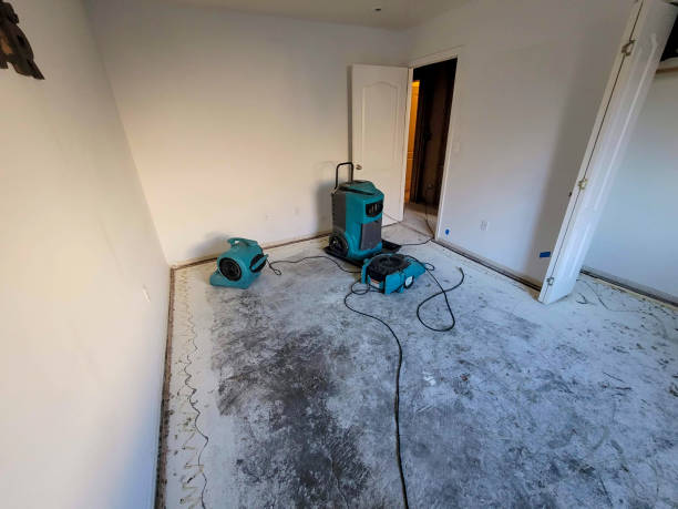 Best Mold removal after water damage  in Holdrege, NE