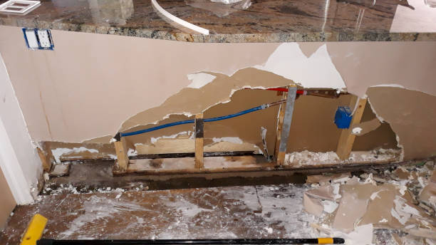 Best Professional water damage repair  in Holdrege, NE