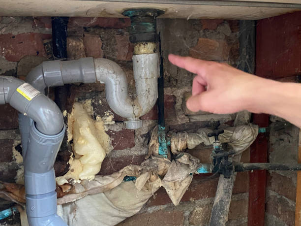 Best Fire Damage Restoration  in Holdrege, NE