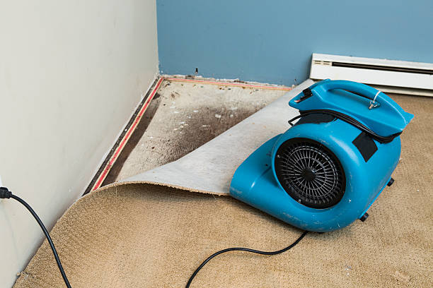 Best Commercial water damage restoration  in Holdrege, NE