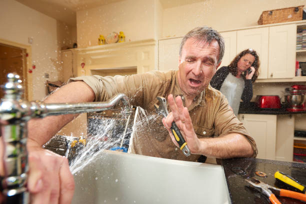 Best Water damage contractors near me  in Holdrege, NE